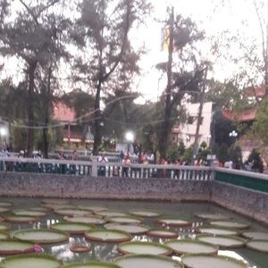 Meet your Posher, Ngoc diep